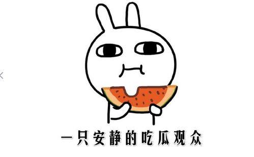 吃瓜网官网 抖音热门大瓜 朝阳吃瓜群众网,朝阳吃瓜群众网带你揭秘网络热点事件